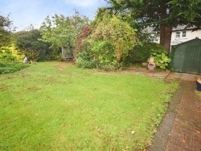 Picture 24